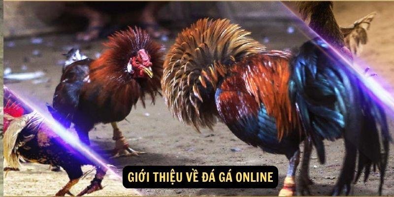 da-ga-Online-1