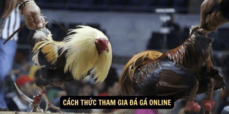 da-ga-online-2