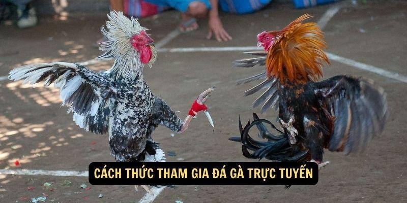 da-ga-truc-tuyen-2