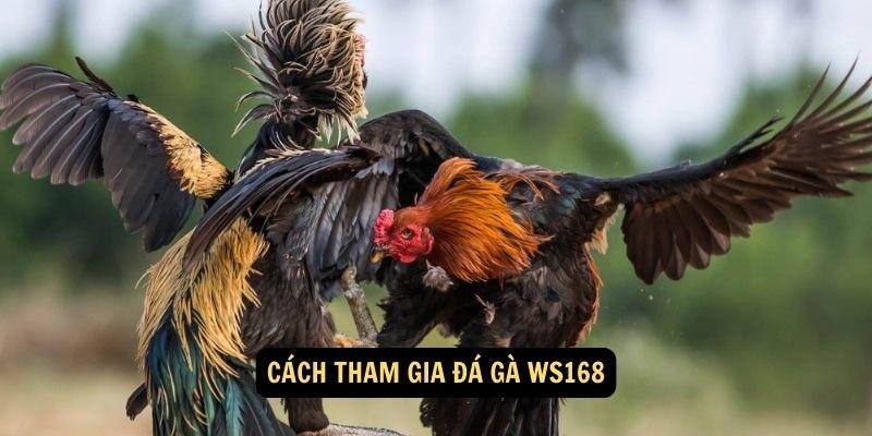 da-ga-ws168-2