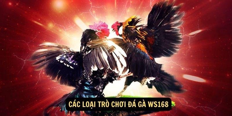da-ga-ws168-3