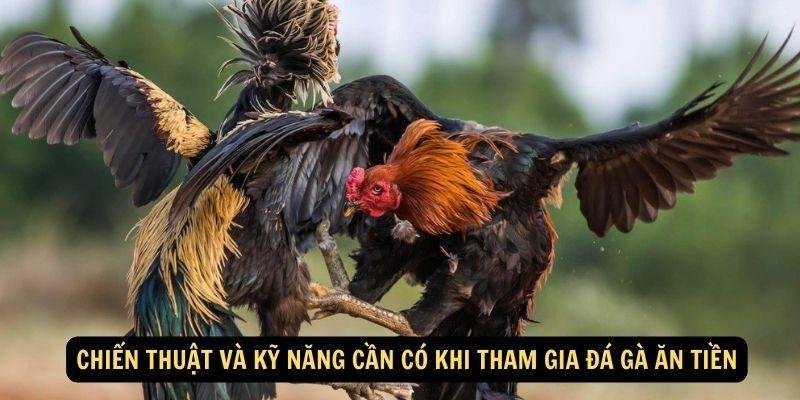 da-ga-an-tien-2