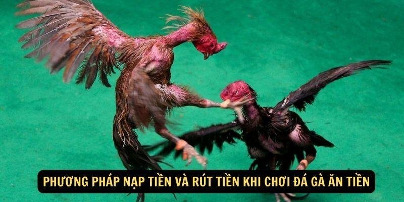 da-ga-an-tien-3
