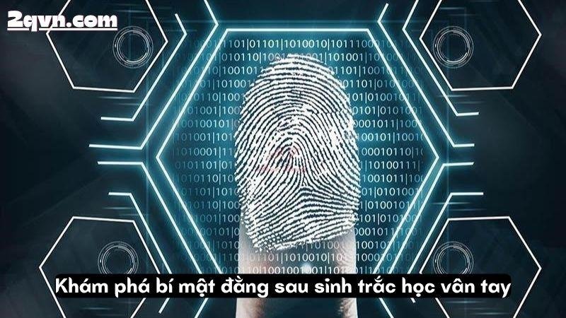 sinh-trac-hoc-van-tay-1