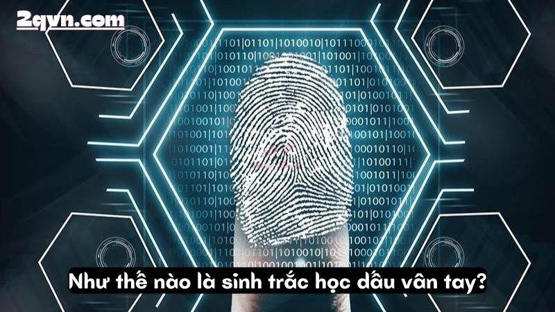 sinh-trac-hoc-dau-van-tay-1