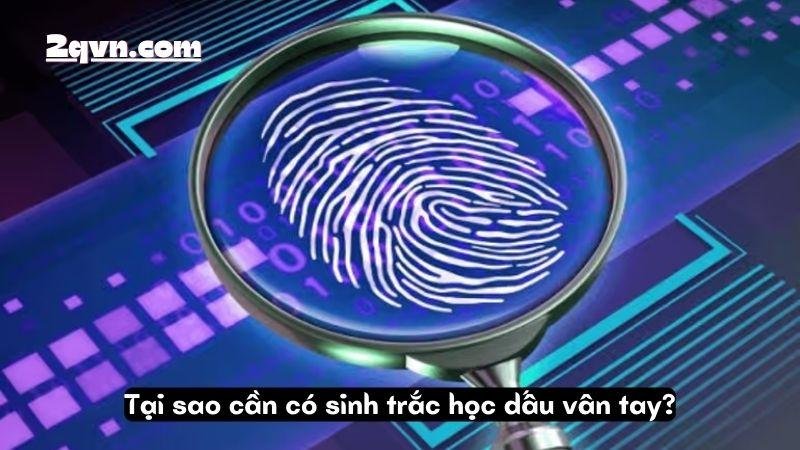 sinh-trac-hoc-dau-van-tay-2