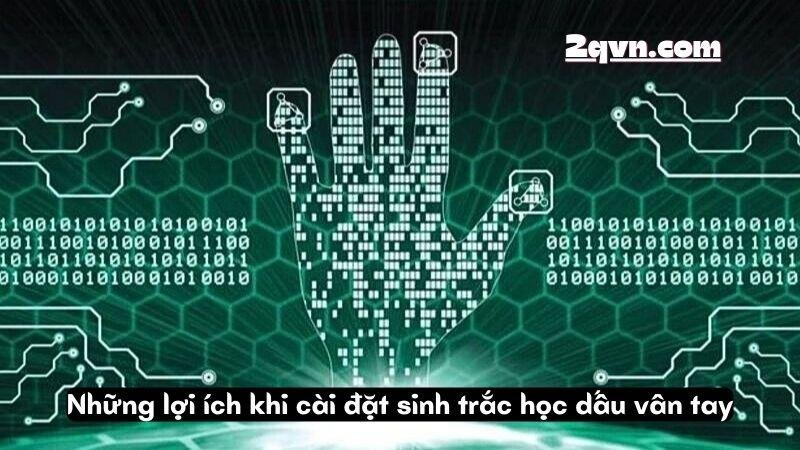 sinh-trac-hoc-dau-van-tay-3
