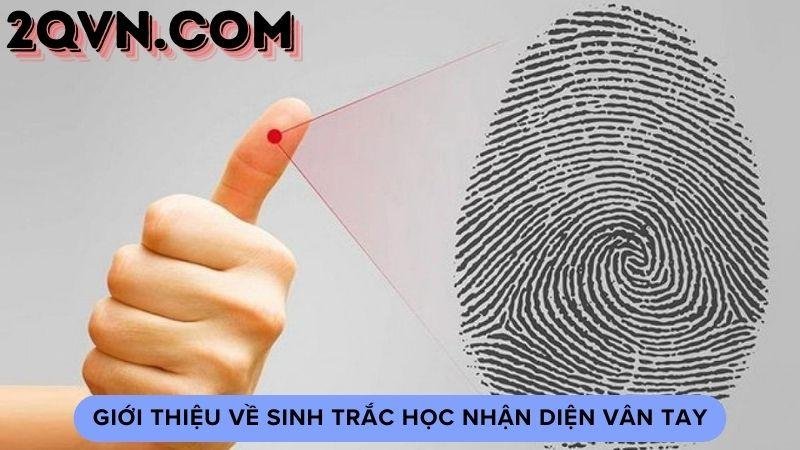 sinh-trac-học-nhan-dien-van-tay-1