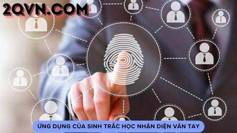 sinh-trac-học-nhan-dien-van-tay-2