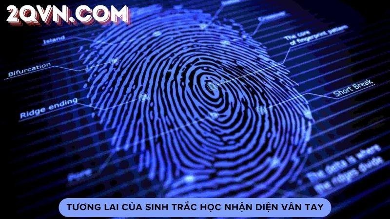 sinh-trac-học-nhan-dien-van-tay-3