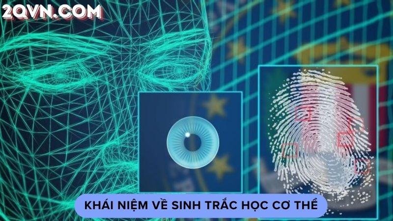 sinh-trac-hoc-co-the-1