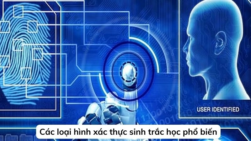 Các loại hình xác thực sinh trắc học phổ biến
