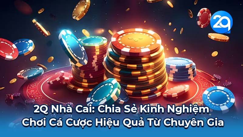 2q-nha-cai-3 2q-nha-cai-3