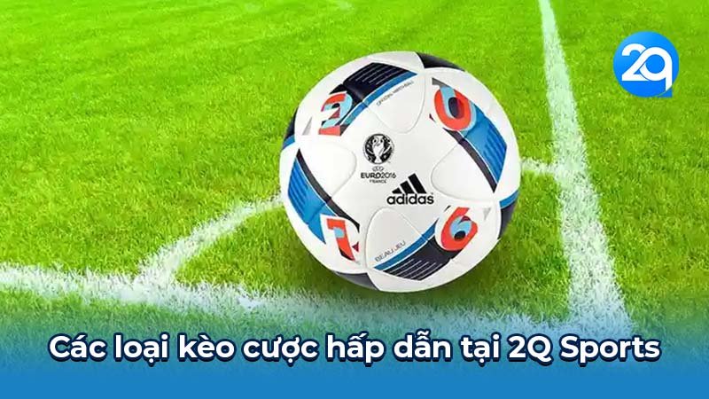 2q-sports-2 2q-sports-2