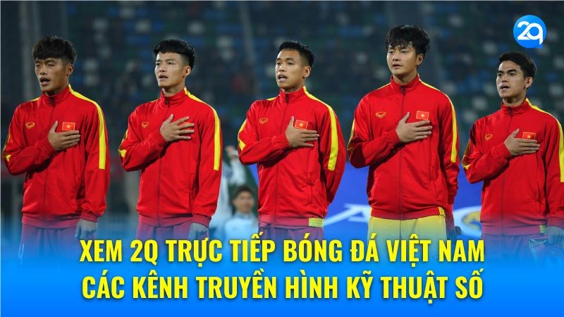 2q-truc-tiep-bong-da-viet-nam-2