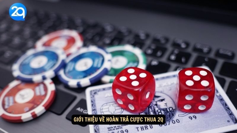 hoàn trả cược thua 2q 1 hoàn trả cược thua 2q 1