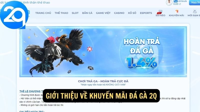 khuyen-mai-da-ga-2q-1 Giới thiệu về khuyến mãi đá gà 2Q