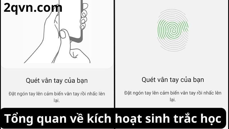 kich-hoat-sinh-trach-hoc kich-hoat-sinh-trach-hoc