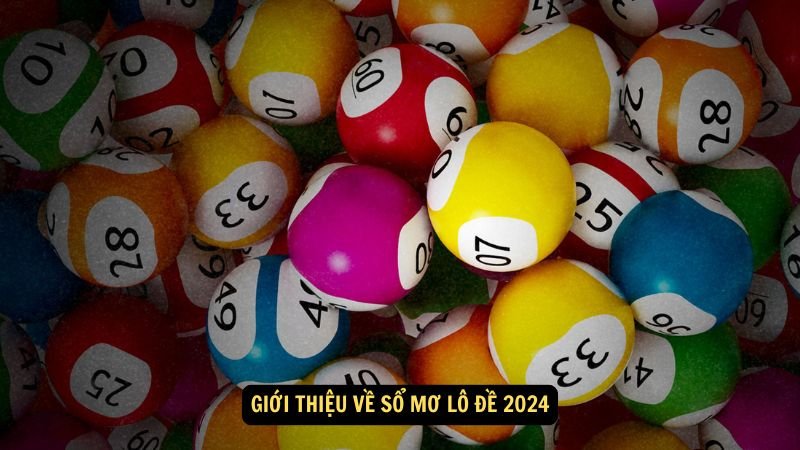 so-mo-lo-de-2024-1 so-mo-lo-de-2024-1