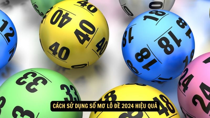 so-mo-lo-de-2024-2 so-mo-lo-de-2024-2