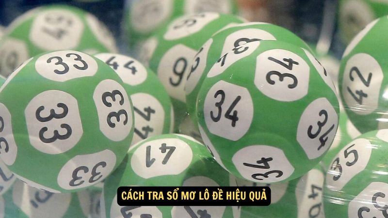 tra-so-mo-lo-de-3 tra-so-mo-lo-de-3