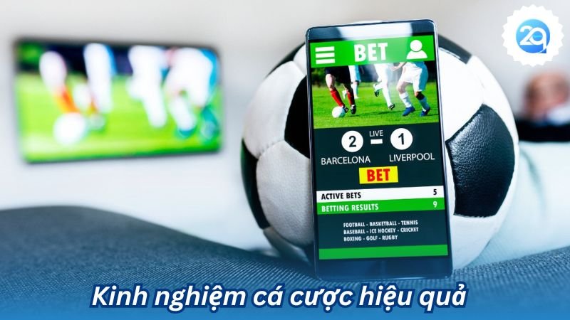 tim-hieu-2q-com-3 tim-hieu-2q-com-3