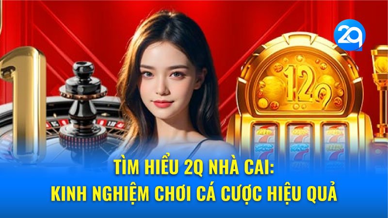 tim-hieu-2q-nha-cai-3 tim-hieu-2q-nha-cai-3