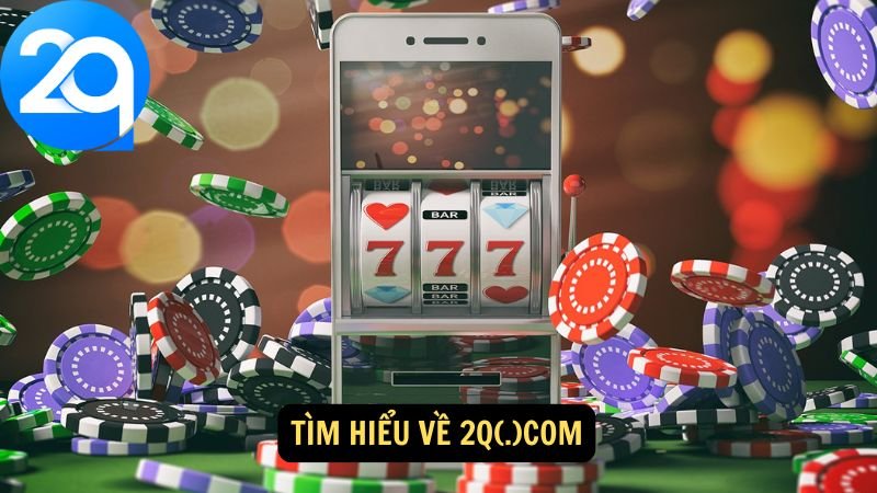tim-hieu-2q-com-1 tim-hieu-2q-com-1