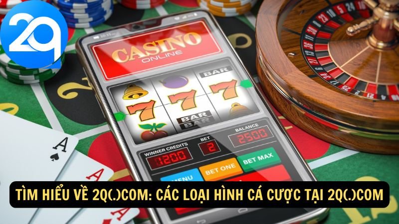 tim-hieu-2q-com-2 tim-hieu-2q-com-2