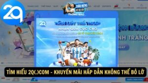 tim-hieu-2q-com