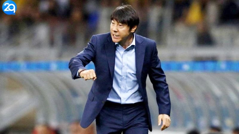 hlv-shin-tae-yong-2
