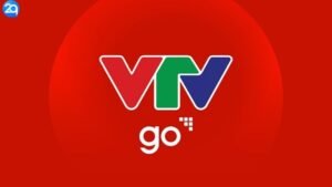 vtv-go